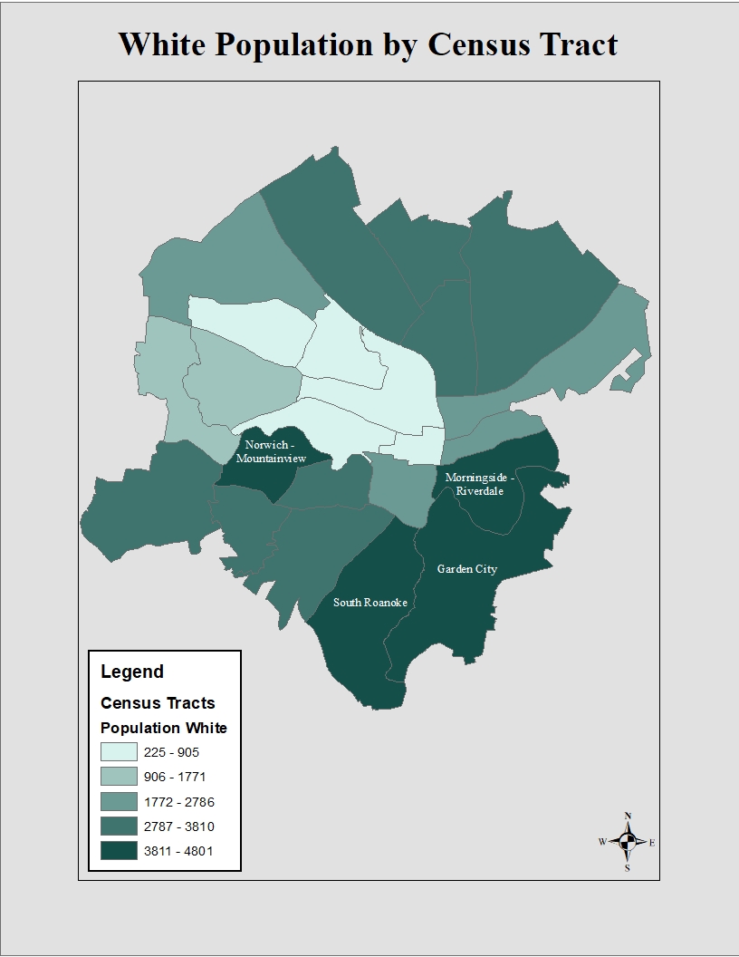 Map of the White Population in Roanoke by Census Tract, showing the largest concentrations in the southern half of Roanoke