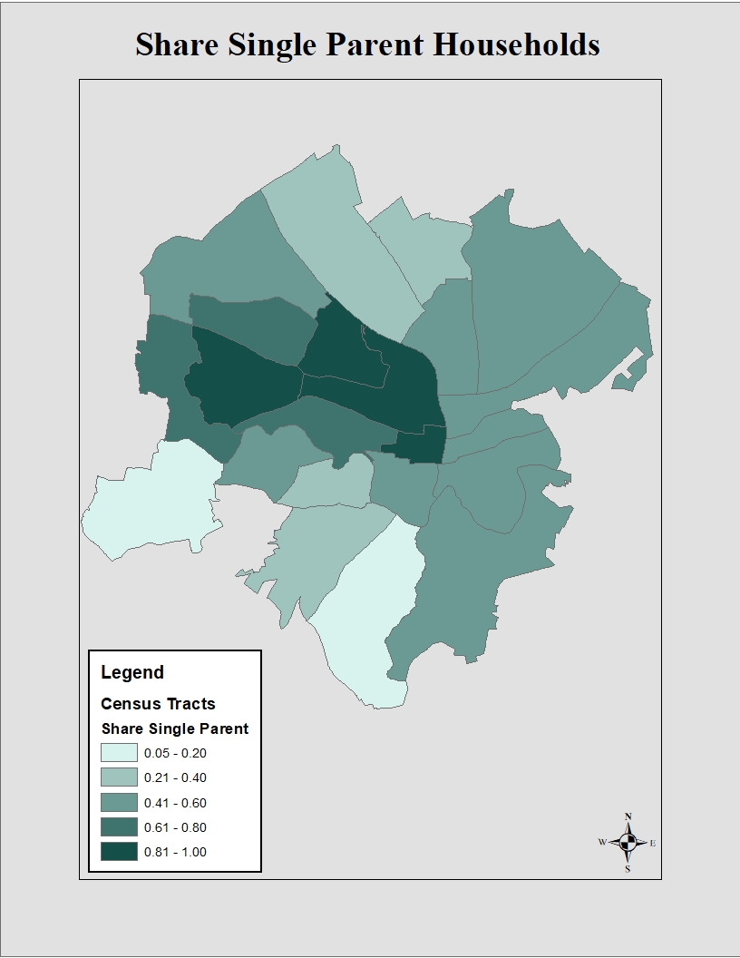 Roanoke City map showing concentration of single parent households in the Northeast.