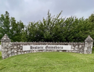 HistoricGainsboro AlbemarleAve
